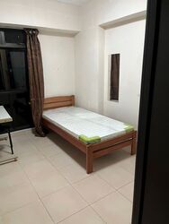 Compassvale Street (Sengkang),  #410782131